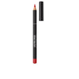 Delineador labial LASTING FINISH 8H 505