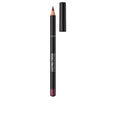 Delineador de labios LASTING FINISH 8H 850