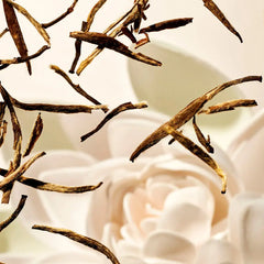 RITUALS-THE RITUAL OF KARMA varas de fragrância mini 70 ml.-DrShampoo - Perfumaria e Cosmética