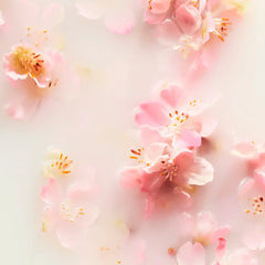 RITUALS-THE RITUAL OF SAKURA recarga concentrada para lavagem das mãos 100 ml.-DrShampoo - Perfumaria e Cosmética