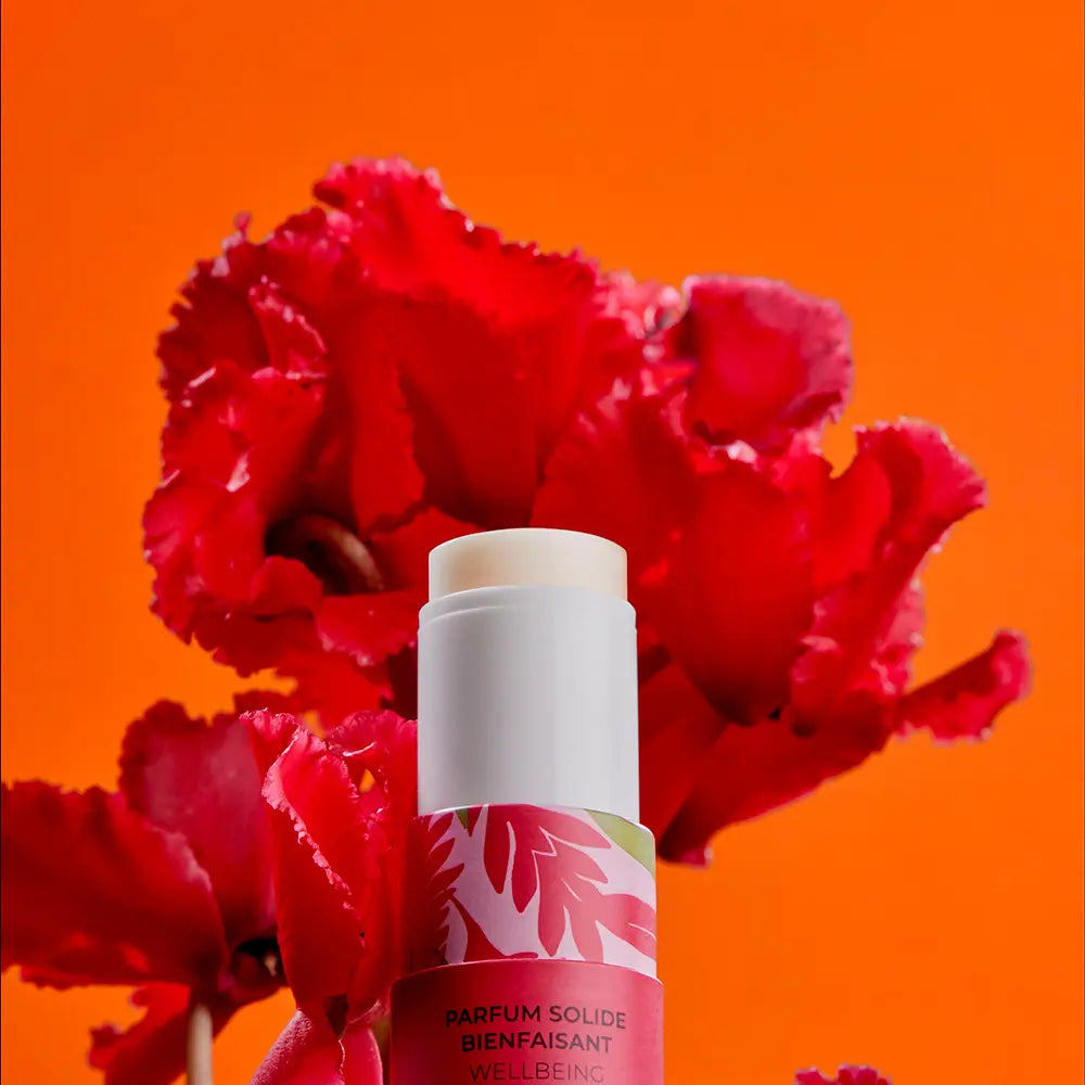 ROGER & GALLET-Perfume sólido GINGEMBRE ROUGE bem-estar 5 gr.-DrShampoo - Perfumaria e Cosmética