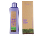 SALERM-BIOKERA GRAPEOLOGY champô 300ml-DrShampoo - Perfumaria e Cosmética