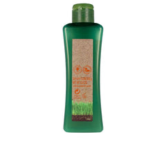 SALERM-BIOKERA NATURA shampoo cabelo tratado 300 ml-DrShampoo - Perfumaria e Cosmética