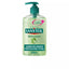 SANYTOL-SANYTOL sabonete hidratante antibacteriano para mãos 250 ml-DrShampoo - Perfumaria e Cosmética