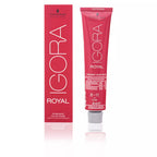 SCHWARZKOPF-IGORA ROYAL 8 11 03 13 60ml-DrShampoo - Perfumaria e Cosmética
