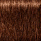 SCHWARZKOPF-IGORA ROYAL ABSOLUTES 7-60 60 ml-DrShampoo - Perfumaria e Cosmética