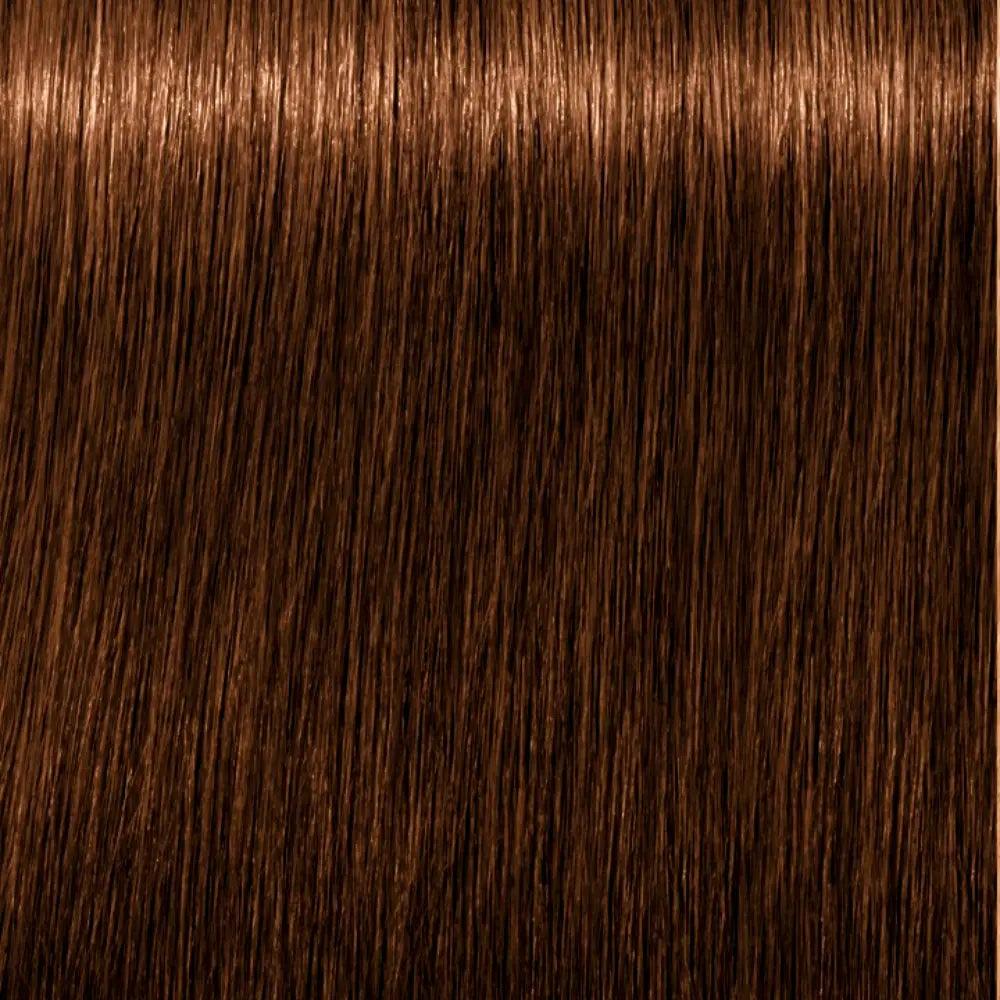 SCHWARZKOPF-IGORA ROYAL ABSOLUTES 8 60 louro claro castanho natural 60 ml.-DrShampoo - Perfumaria e Cosmética