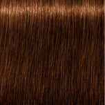 SCHWARZKOPF-IGORA ROYAL ABSOLUTES 8 60 louro claro castanho natural 60 ml.-DrShampoo - Perfumaria e Cosmética