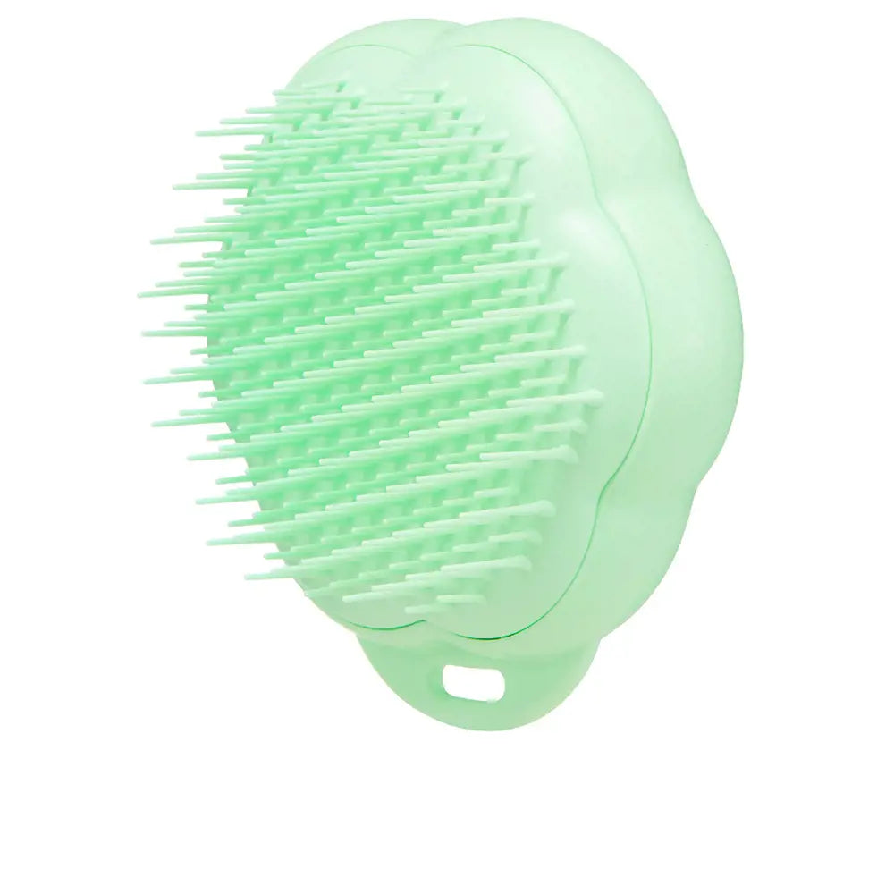 TANGLE TEEZER-Escova de limpeza PET TEEZER CAT-DrShampoo - Perfumaria e Cosmética