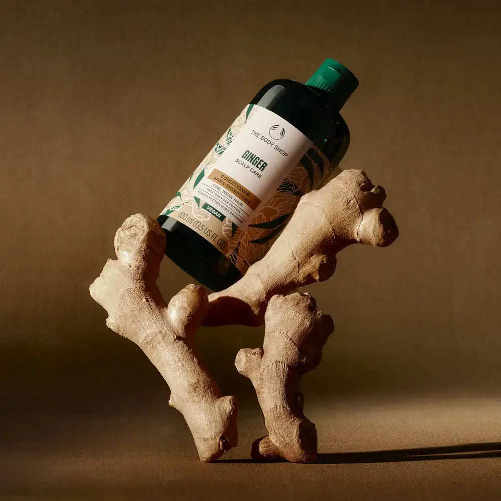 THE BODY SHOP-Condicionador GINGER 400 ml.-DrShampoo - Perfumaria e Cosmética