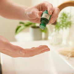 THE BODY SHOP-Óleo de TEA TREE 10 ml-DrShampoo - Perfumaria e Cosmética