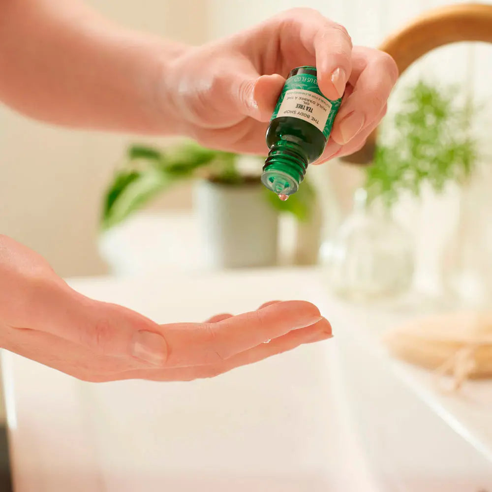 THE BODY SHOP-Óleo de melaleuca 10 ml-DrShampoo - Perfumaria e Cosmética