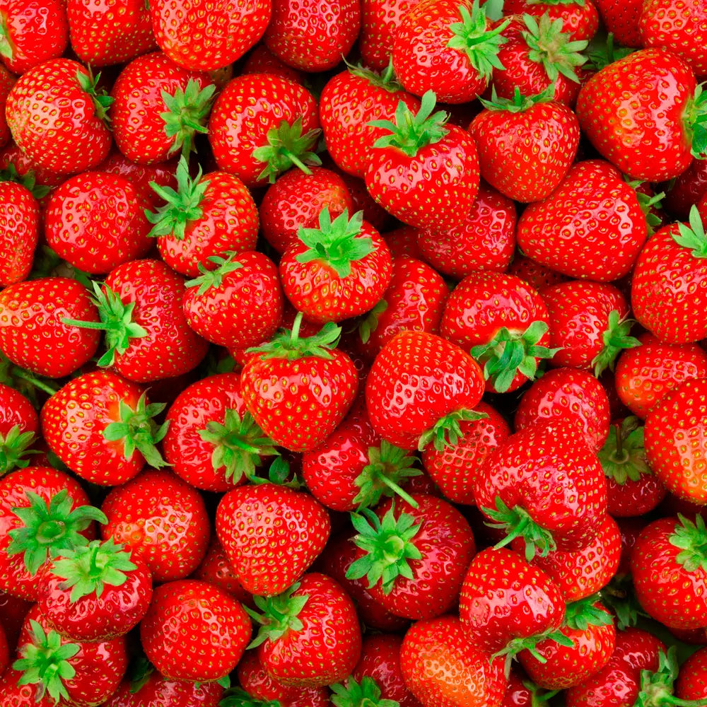THE BODY SHOP-gel de banho STRAWBERRY 250 ml-DrShampoo - Perfumaria e Cosmética
