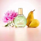 VANDERBILT-JARDIM EM NOVA IORQUE edp vapo 100 ml-DrShampoo - Perfumaria e Cosmética